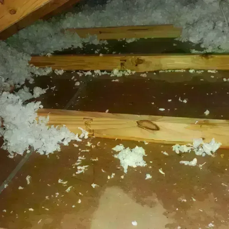 Attic Water Damage in Echo Park, CA