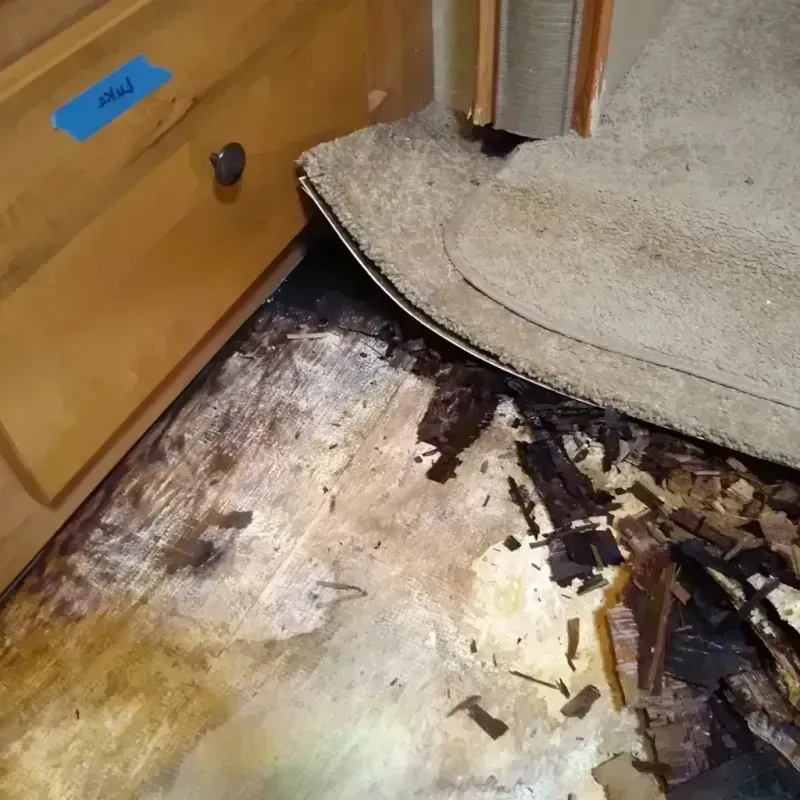 Wood Floor Water Damage in Echo Park, CA